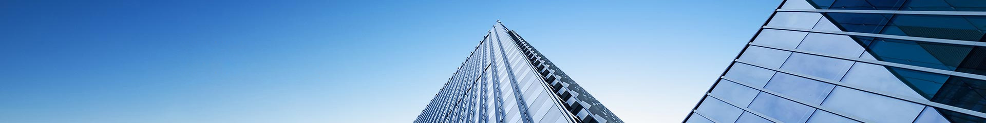 全價貓糧 牛肉味-貓糧-濟南寶翠飼料有限公司官方網(wǎng)站